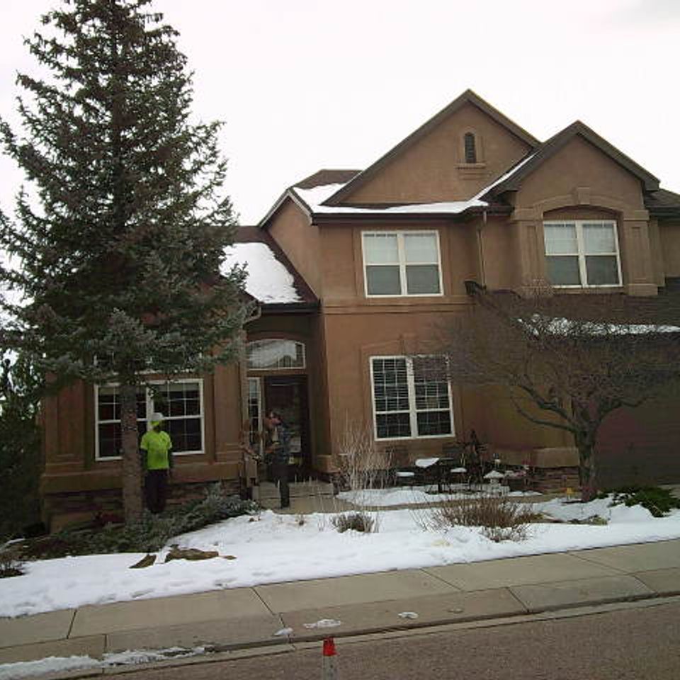 Trees of life tree service 13