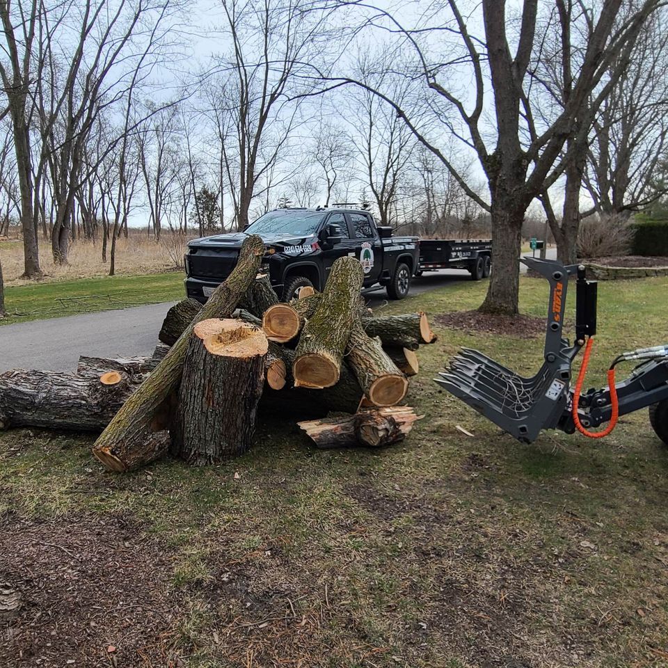 Bobby Tree Care Tree Removal
