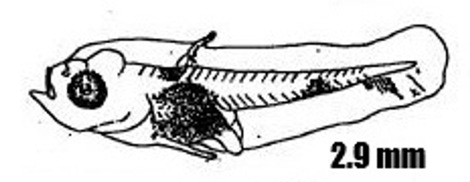 Screenshot 2025 10 15 141044