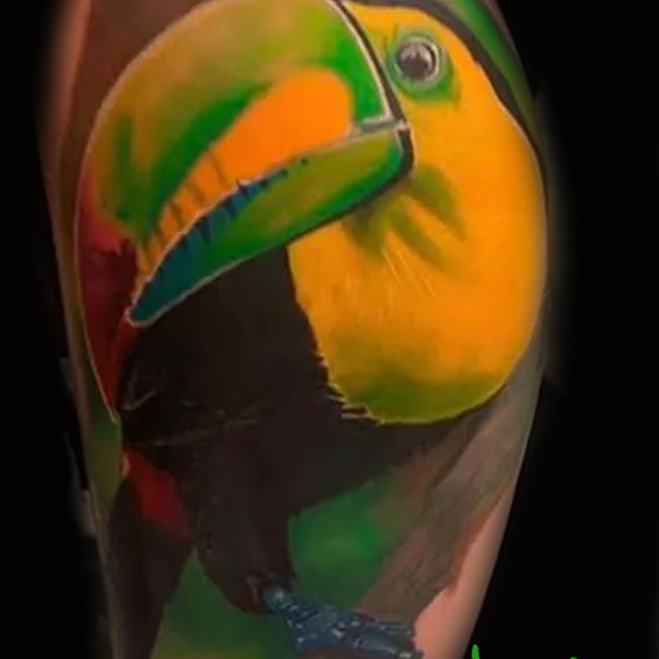 Joey toucan