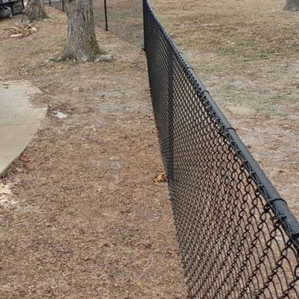 chain link fence built around trees