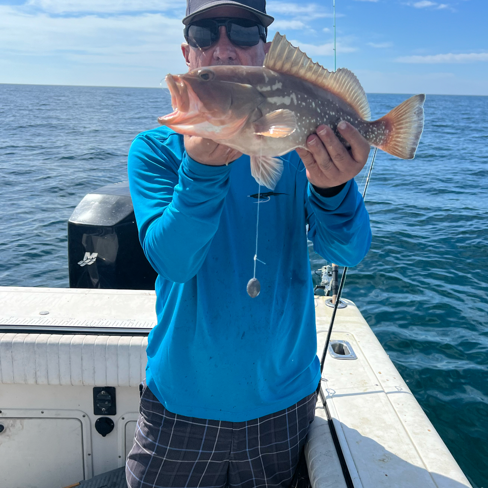Drews charters 4