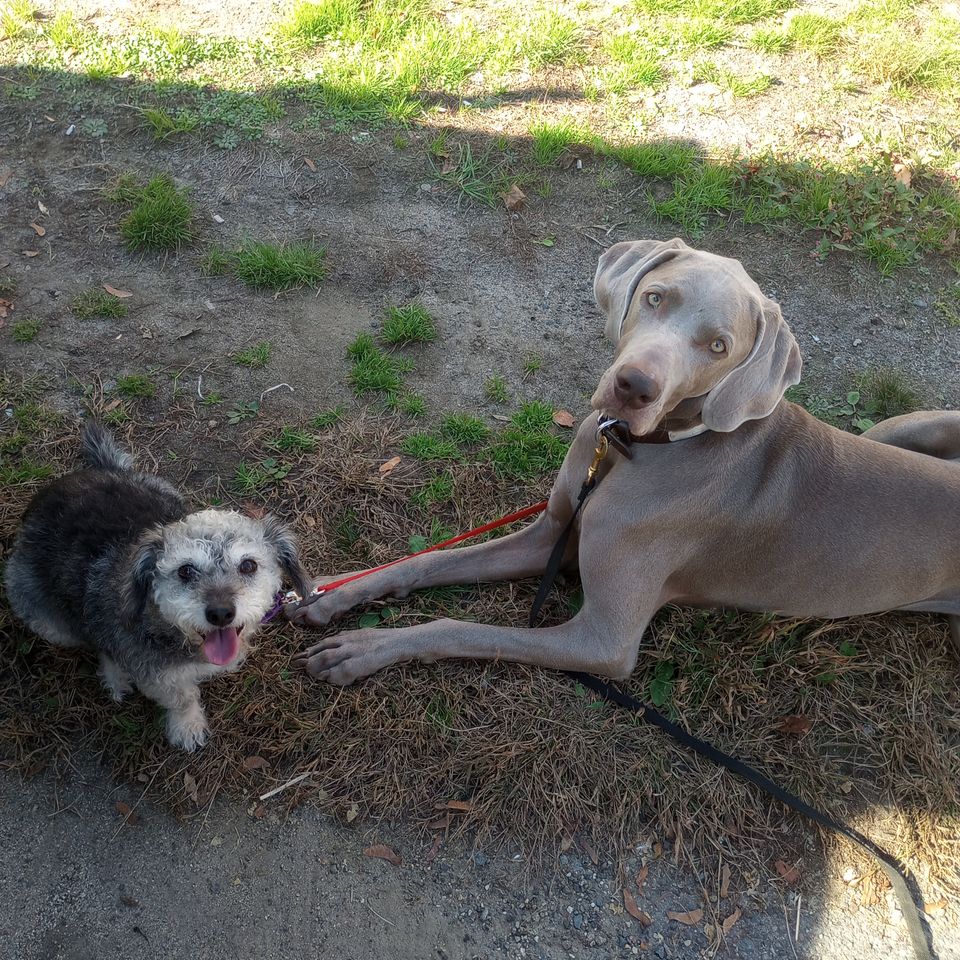 Img 20231028 134839365