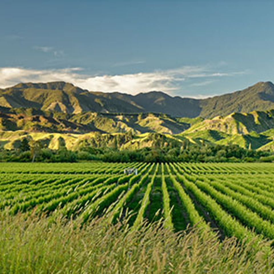 New zealand   5 days   4 nights   marlborough