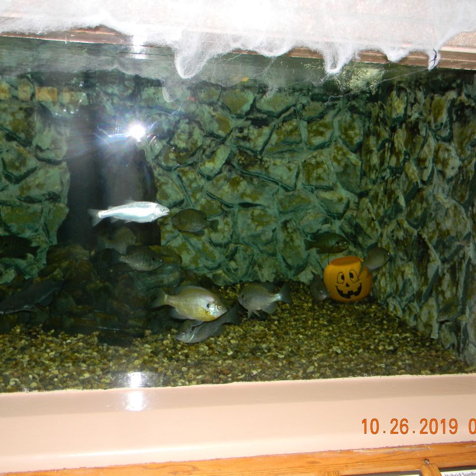 Dscn6426