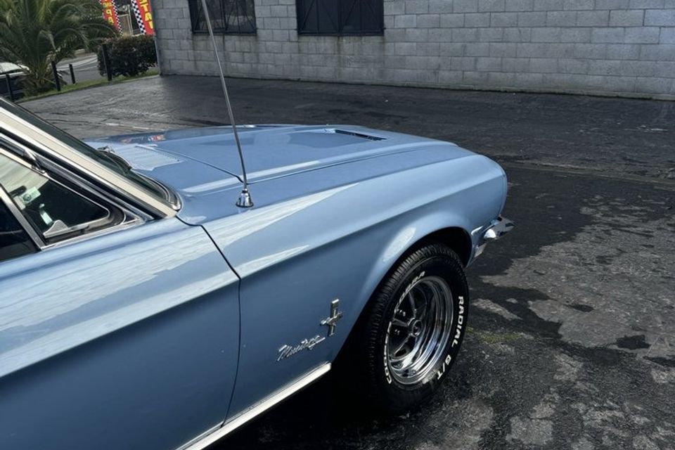Mustang4