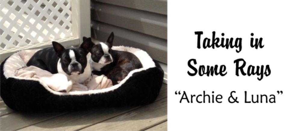 Hotel   archie luna20150621 16882 madyst