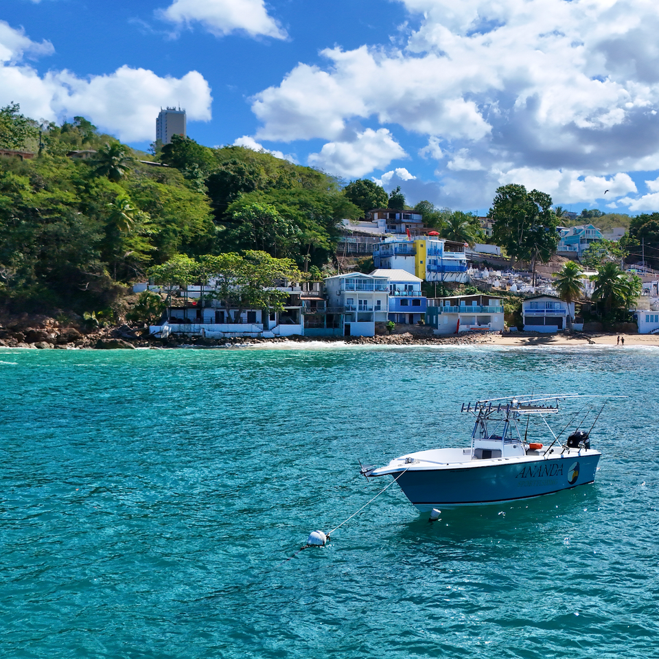 Screenshot 2026 02 24 at 3.36.03 pm