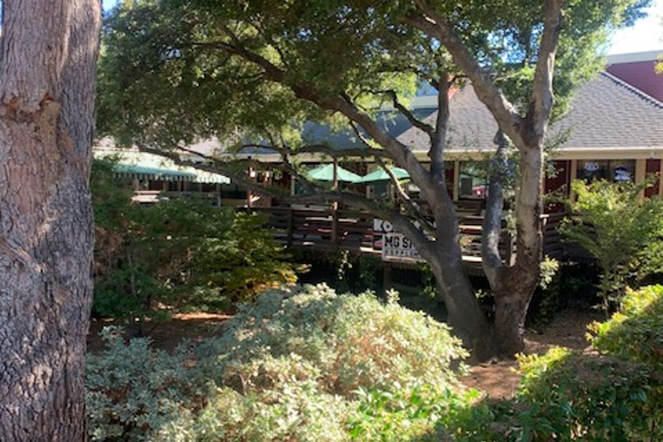 Img 3767