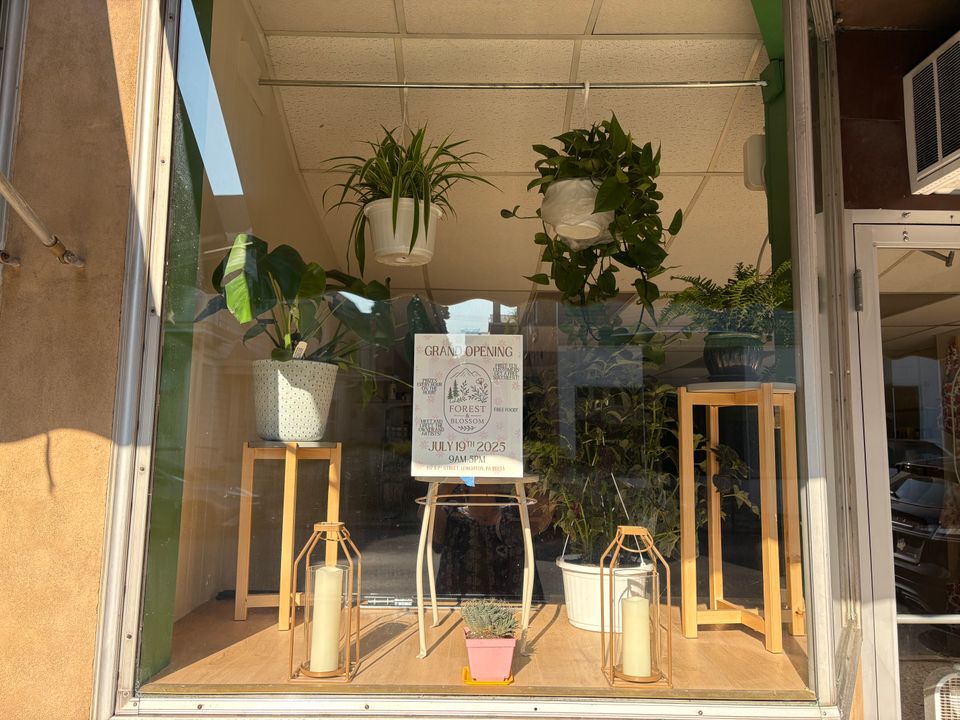 Plants front window forest and blossom
