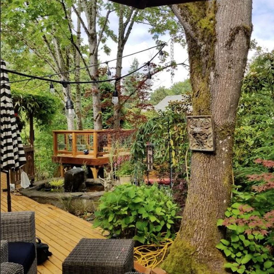 After tree house