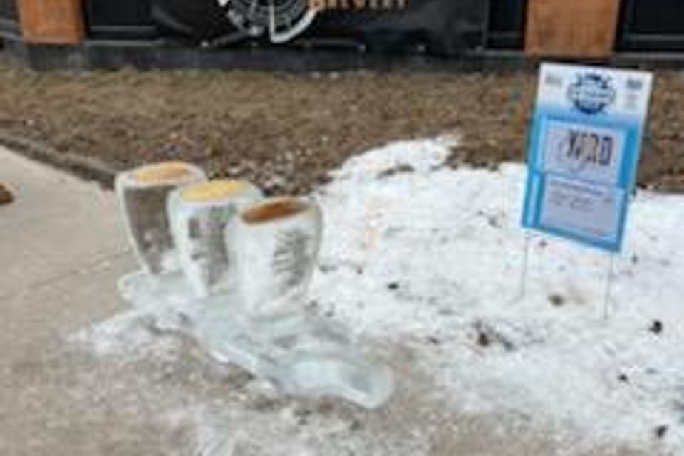 Ice carving 2025 43