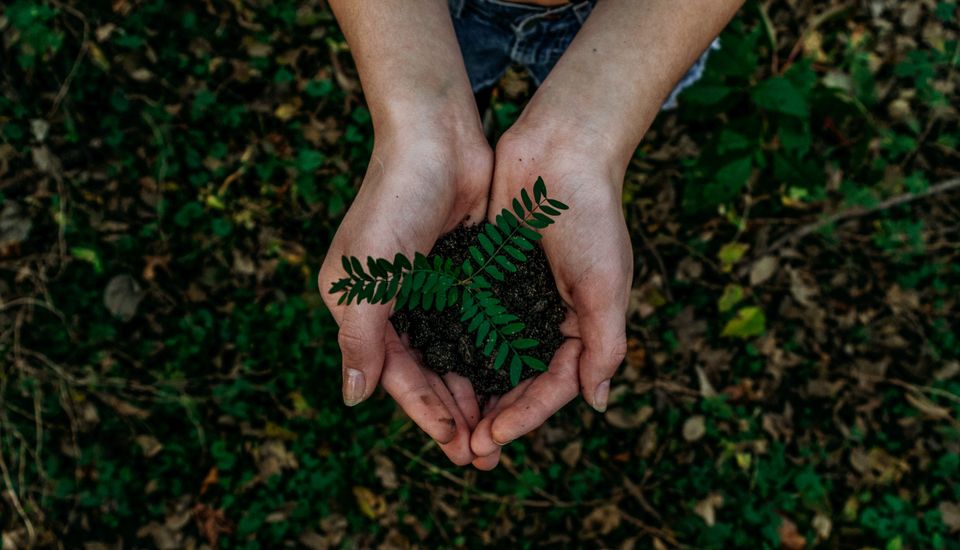 Unsplash 22 08 17 18 26 42