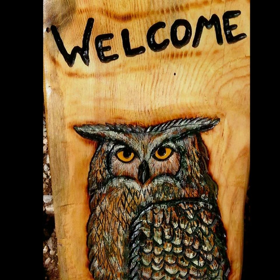 Owl