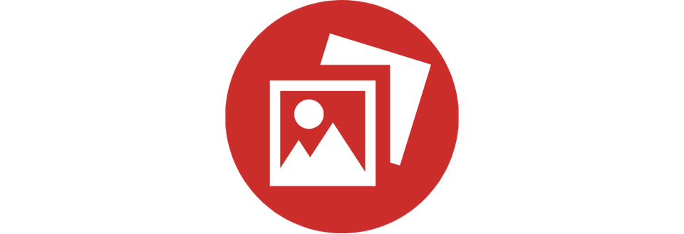 Vigilant website