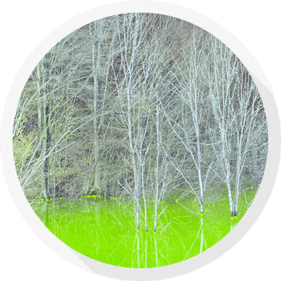 Protect the environment original