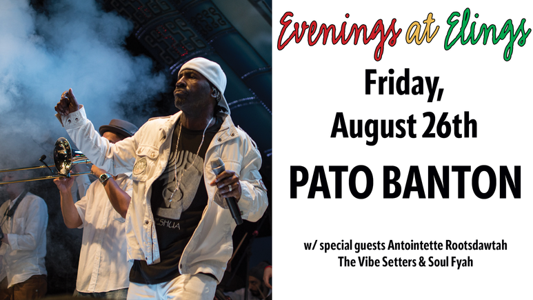 Pato banton slide 2022
