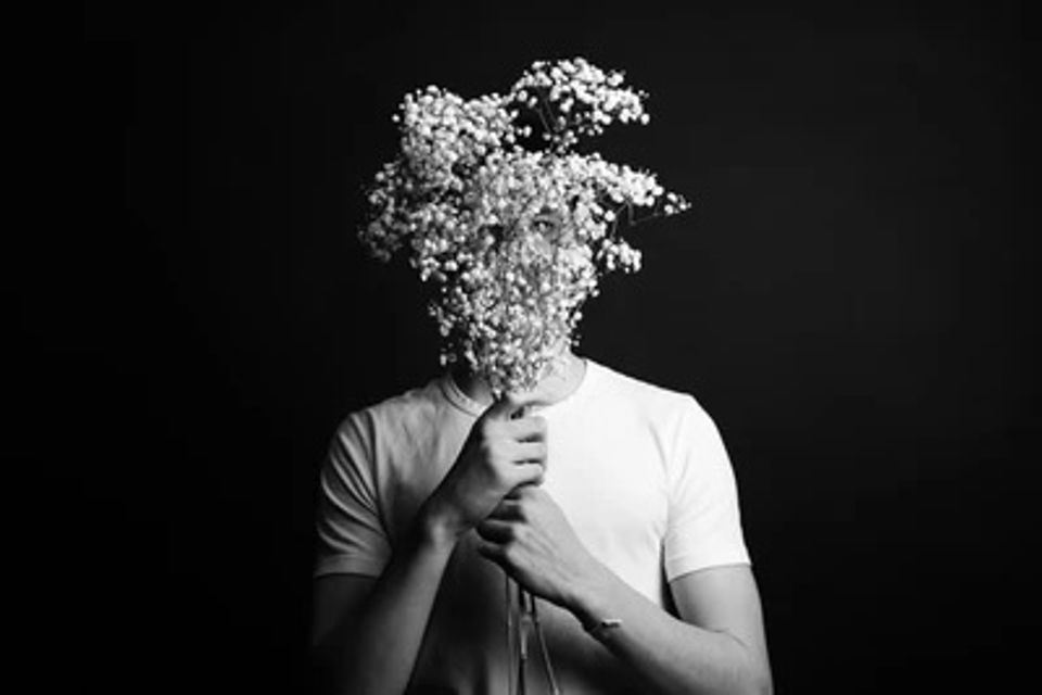 Hiding behind plants