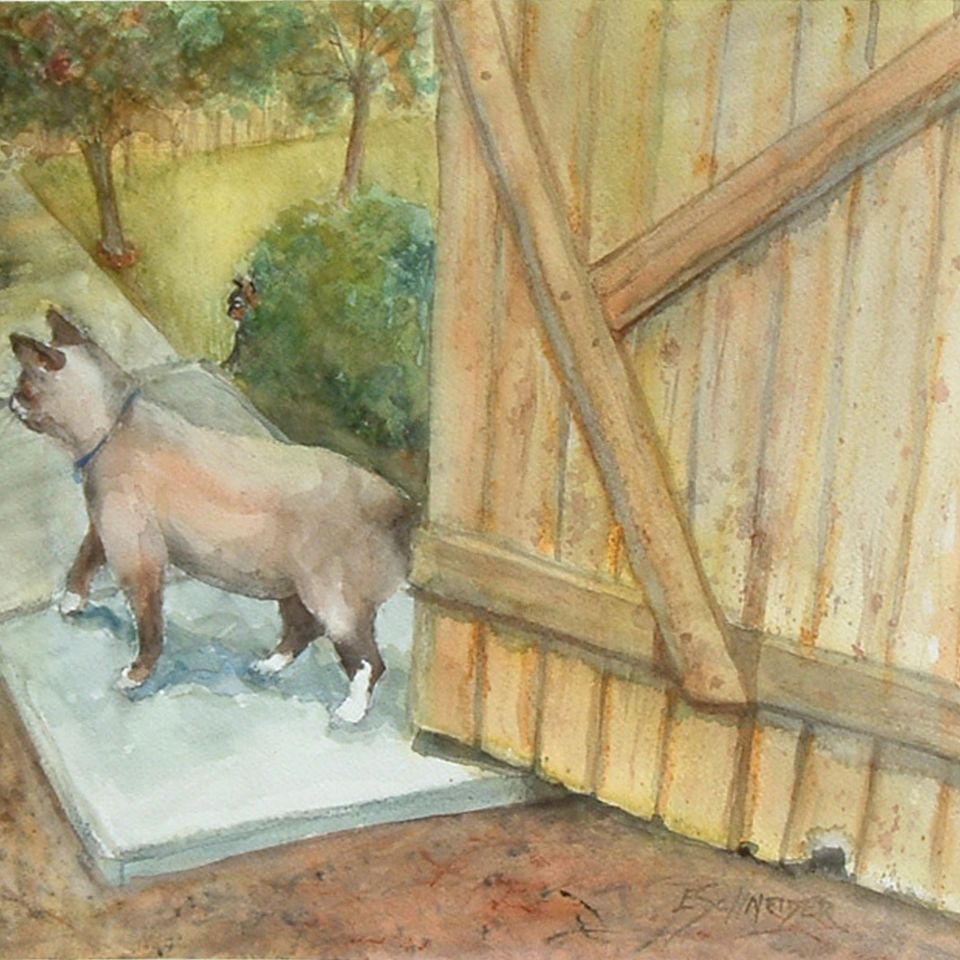 Two cats in the yard lg