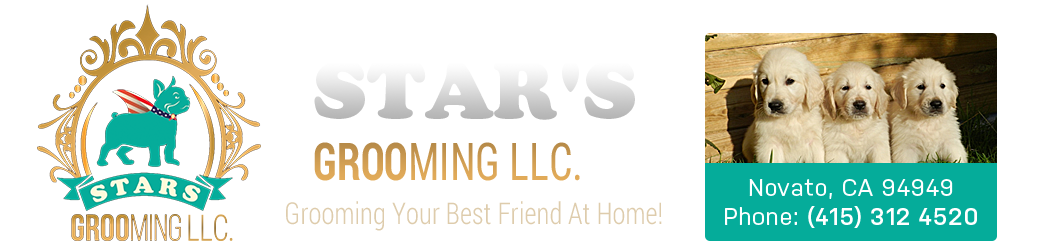 Stars Mobile Grooming