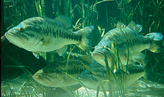 Screenshot 2026 02 24 at 12.48.45 pm