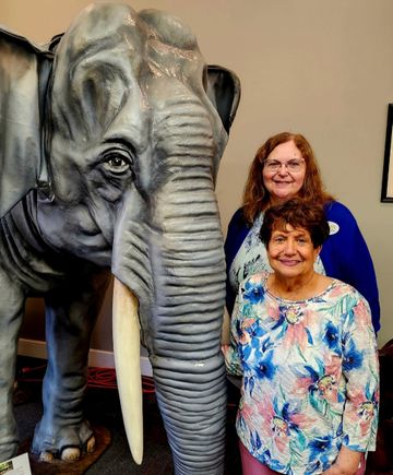 Sandra doris elephant
