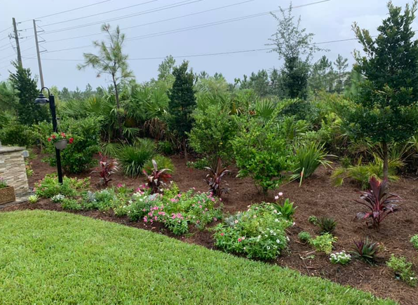 Screenshot 2025 10 20 082058