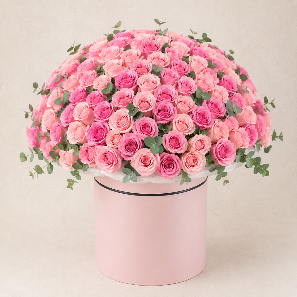 Pink box deluxe 200