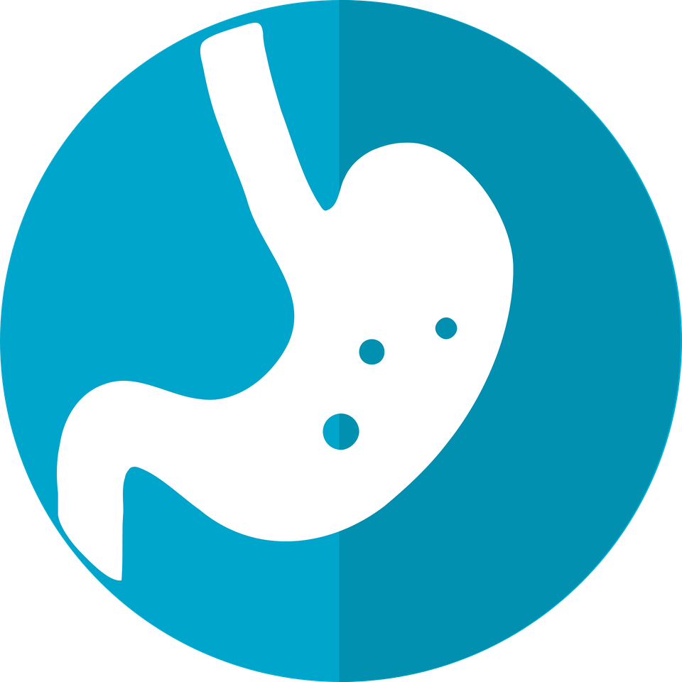 Stomach icon g5a3fa536e 1920