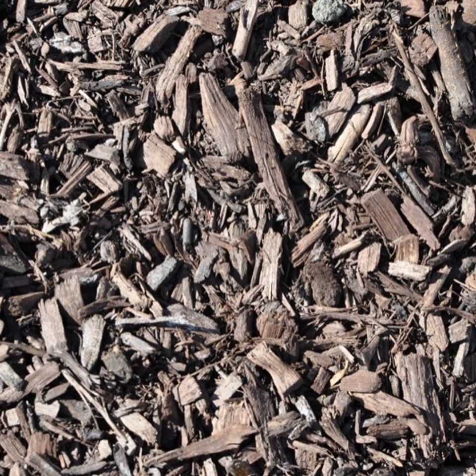 Coffee 20mulch20180315 12542 wig2n8