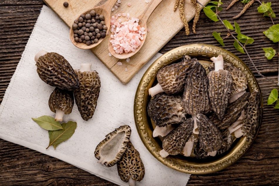 Morels mushroom kitchen as147547965 950x633