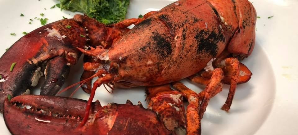 Cg 19 maine lobster