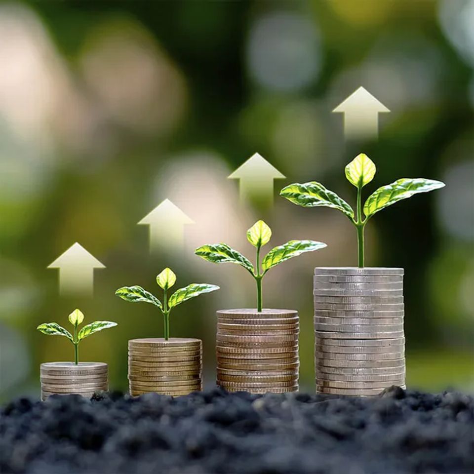 Save and grow original