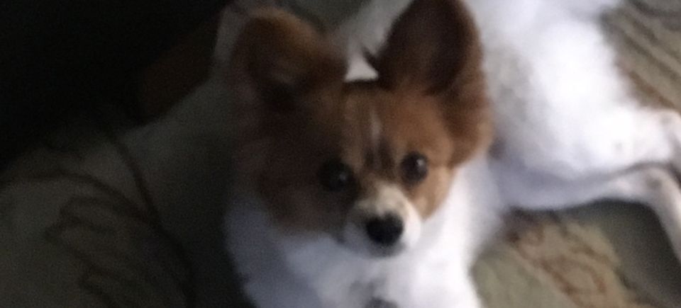 F375620c 6c96 4d02 8cd0 27b045752123