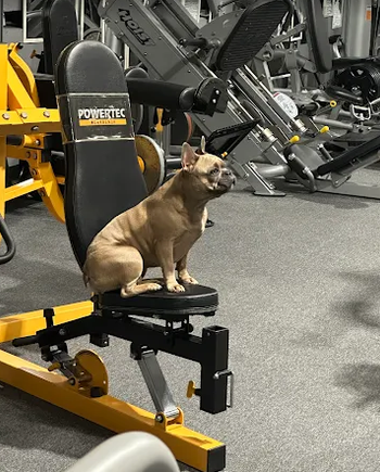 Screenshot 2026 02 09 141750