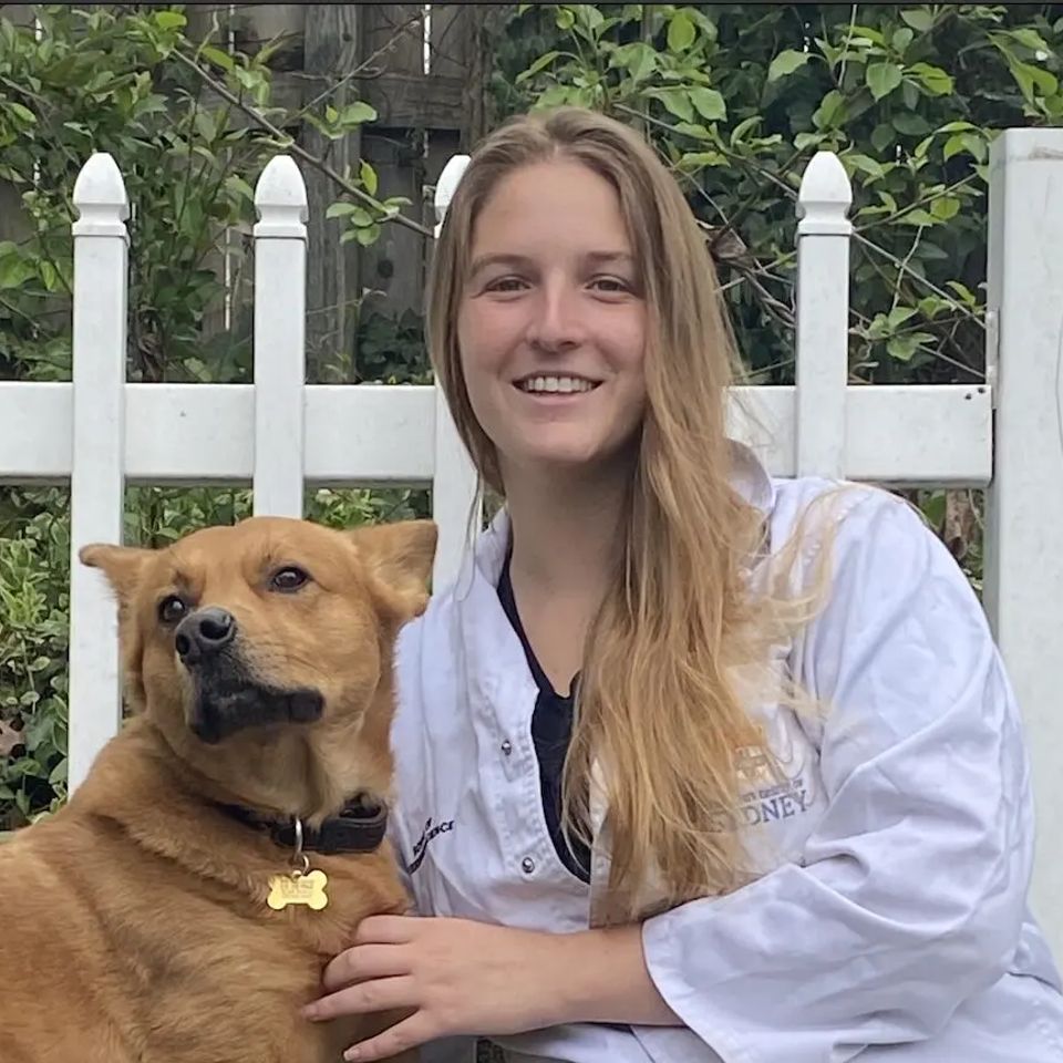 Fur and Floss: The Veterinary Dental Nonprofit, Fur and Floss of NC, Fur and Floss Raleigh NC, Dental Nonprofit for Pets, Dog Dental Nonprofit, Cat Dental Nonprofit, Animal Dental Nonprofit, Shelter Animal Dental Services