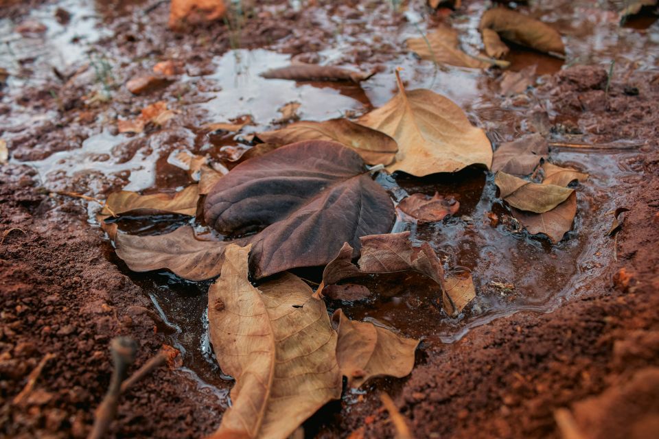 Ilhan erce feyizoglu kabkx0pc y8 unsplash