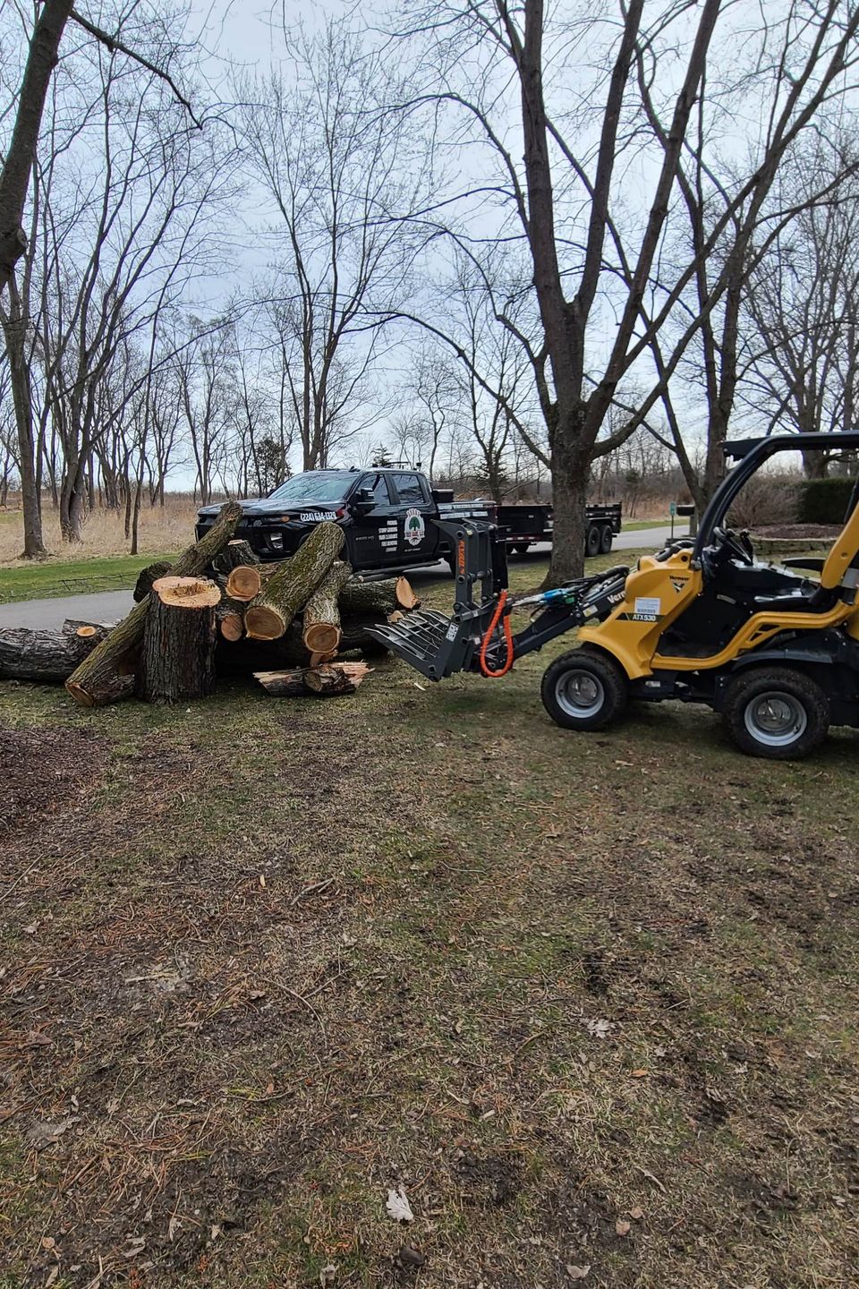 Bobby Tree Care Tree Removal