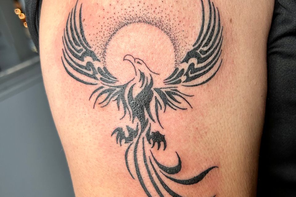 Img 8086