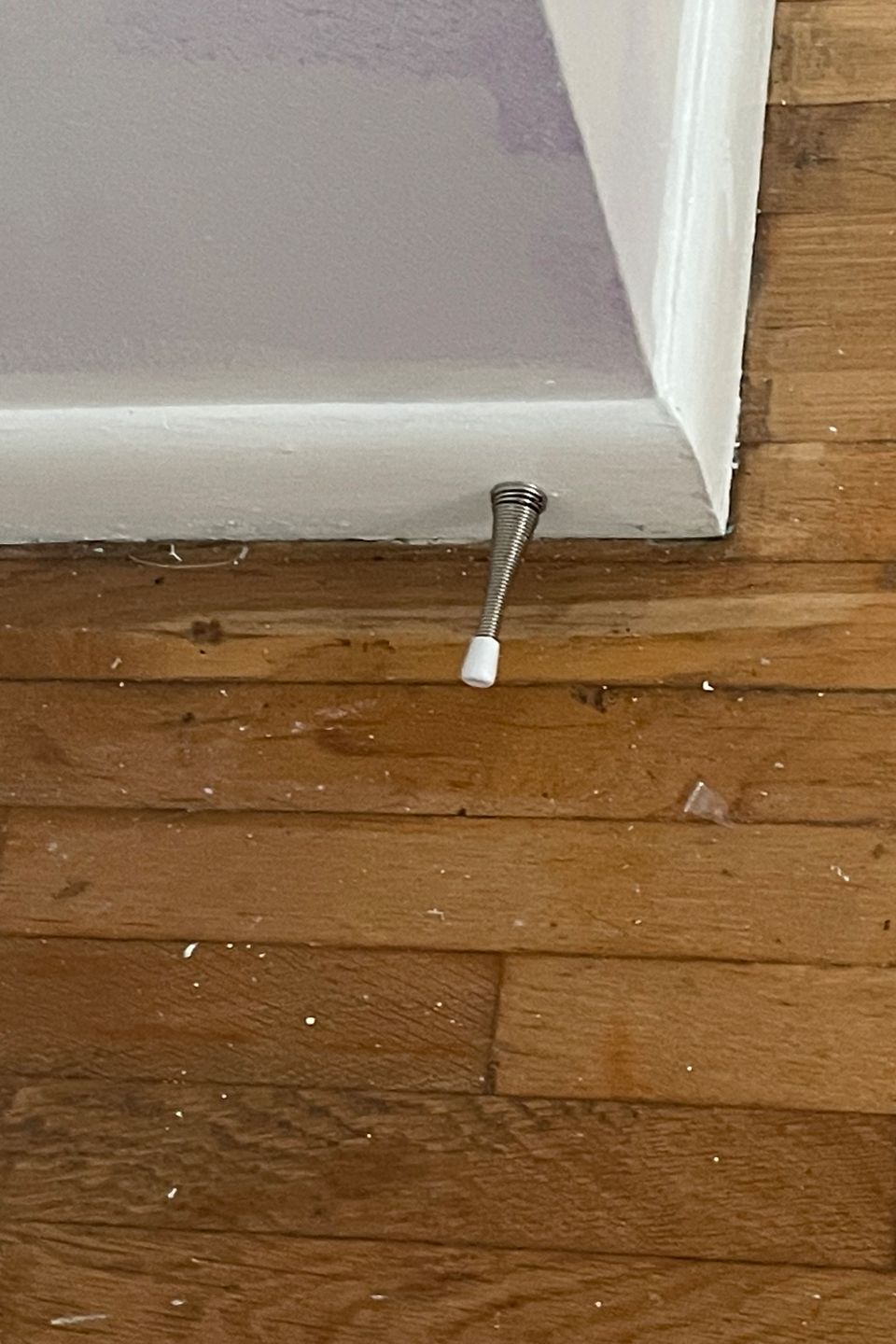 Img 1306
