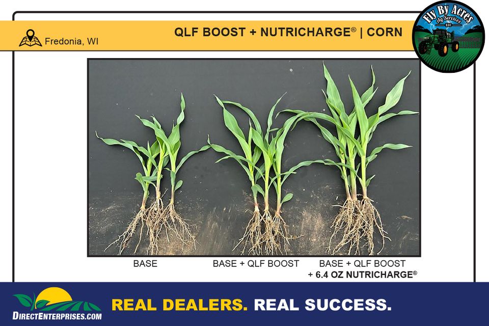 Fly by storyboards 20250823 3