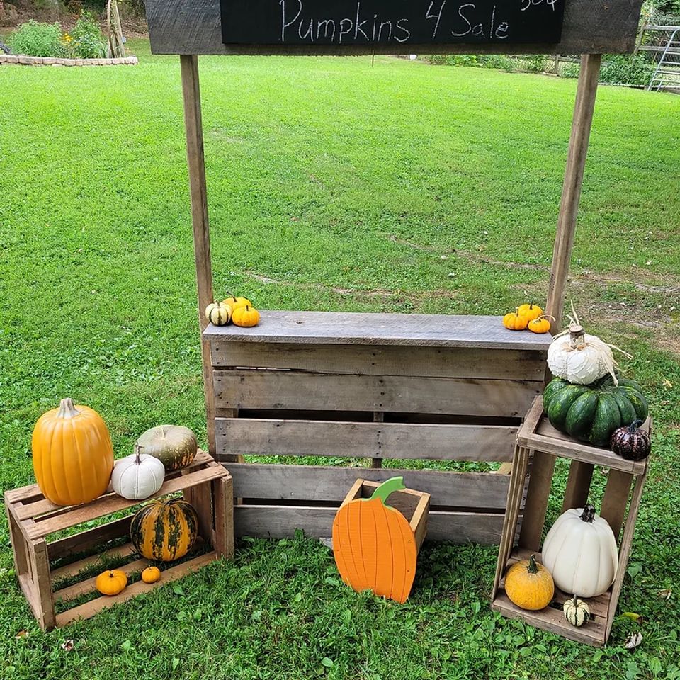 Pumpkin stand