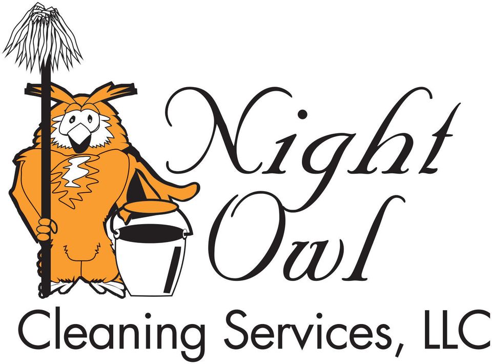 Night owl logo