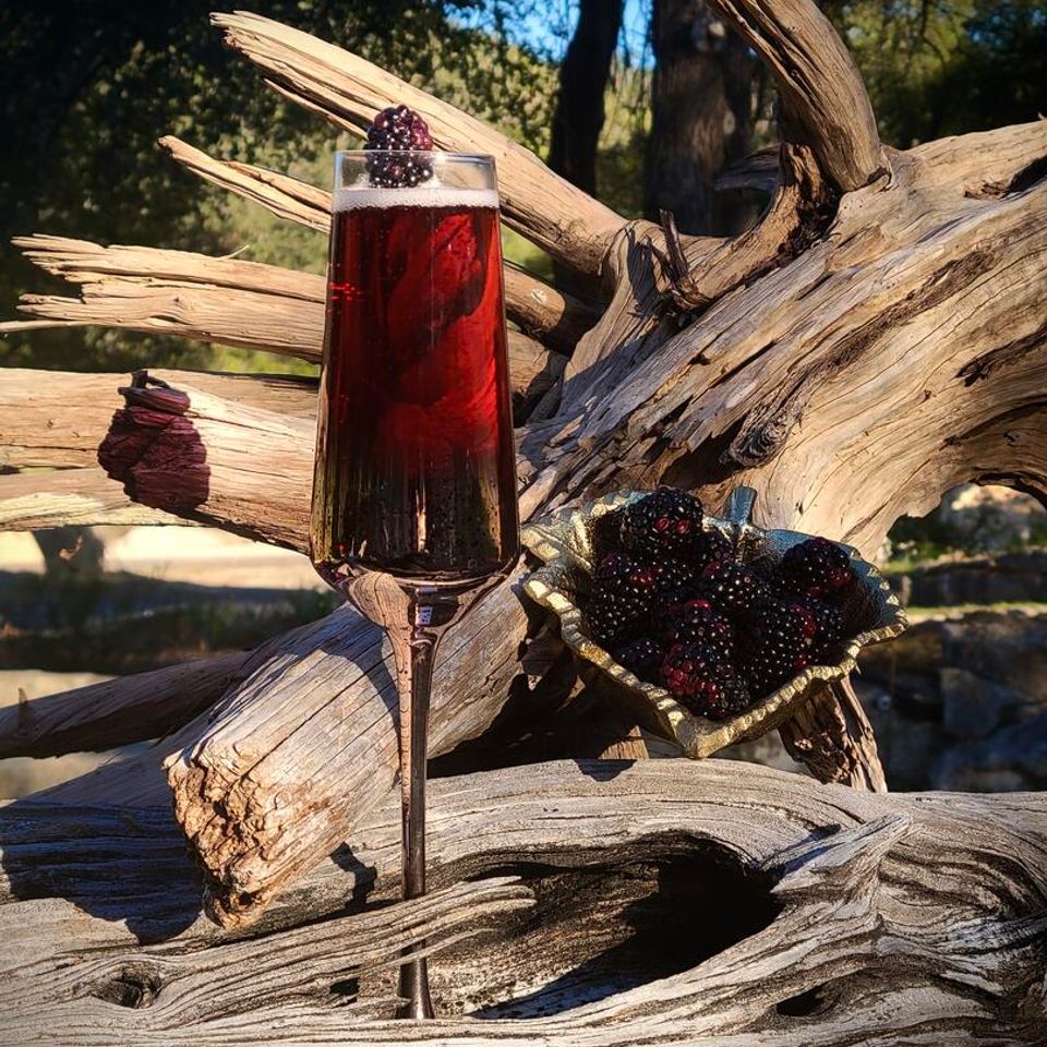 Img 1553
