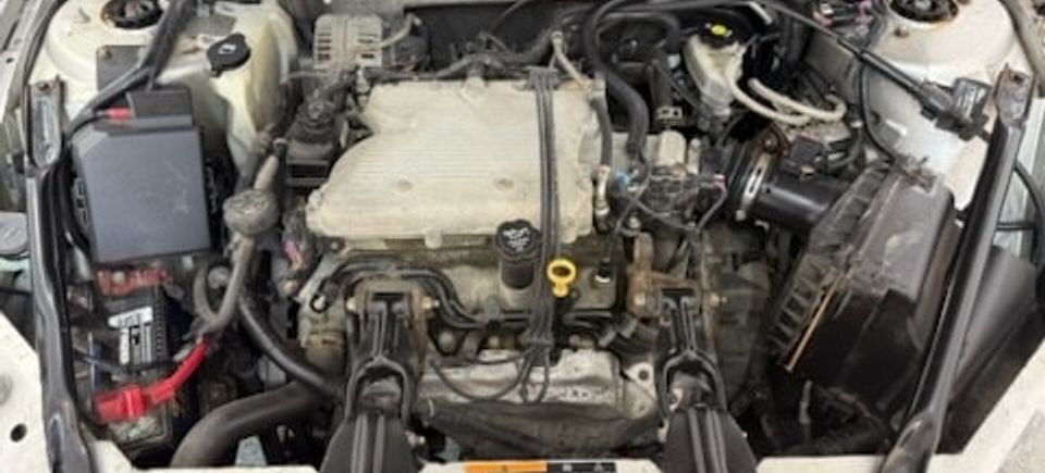 599567451 122202442610368687 3531096504251305512 n