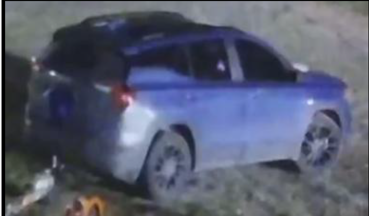Pic 3