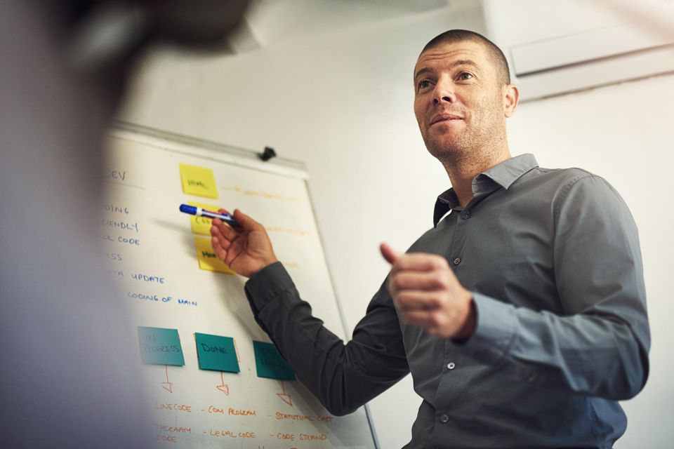 Project Management Assistance