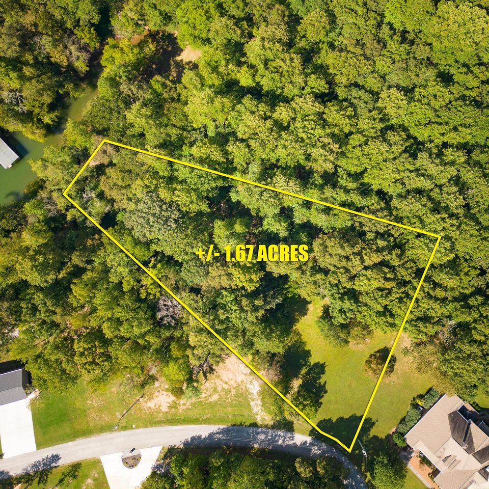 Rigsbys ridge drone 3