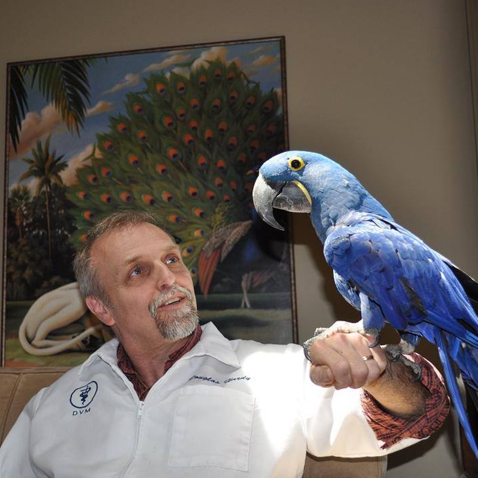 Dr hardy and a bird
