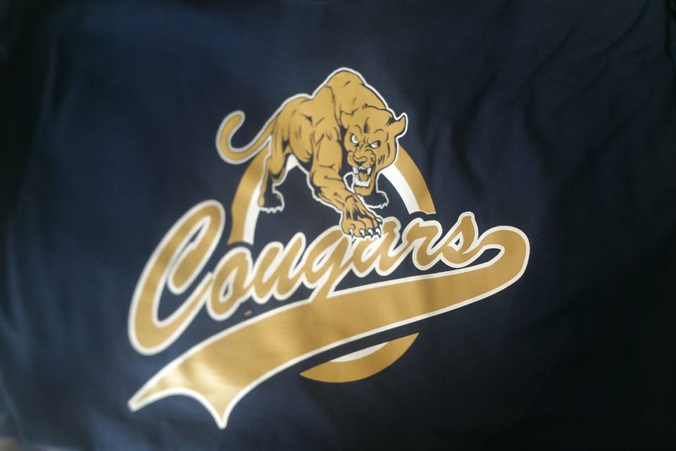 508811687 3444986705643086 7359032871936674913 n